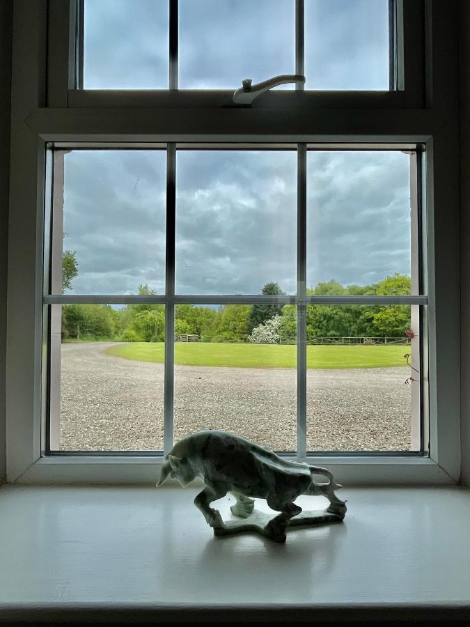The Cottage At Riverbank Ballinamallard Extérieur photo