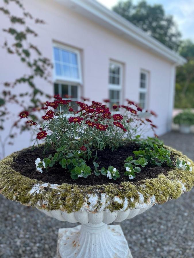 The Cottage At Riverbank Ballinamallard Extérieur photo